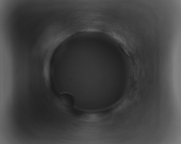 X0000101400295200807071224