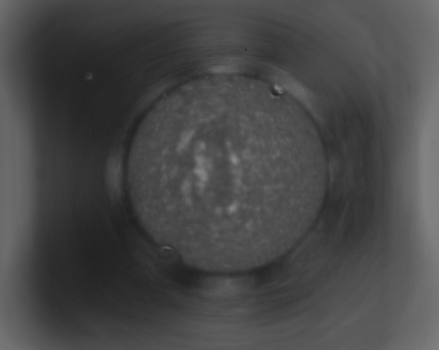 X0000101400297200807071224