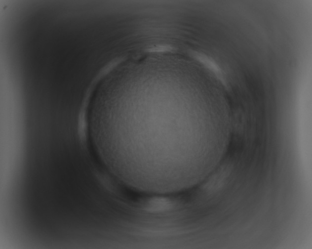 X0000101400298200807071224