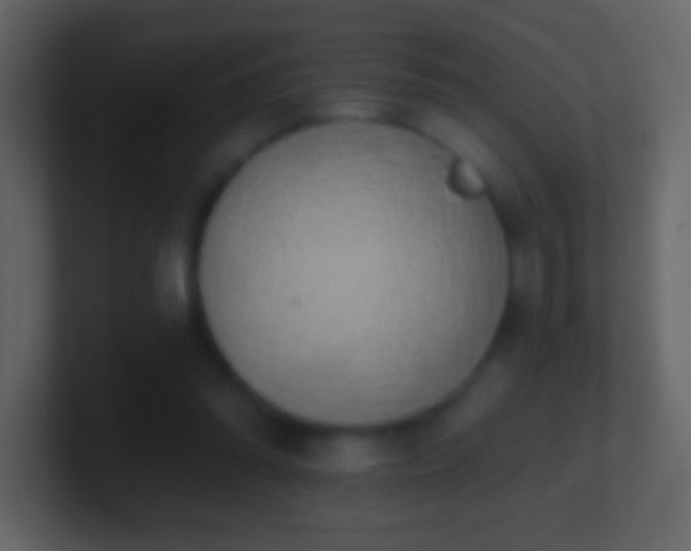 X0000101400302200807071224