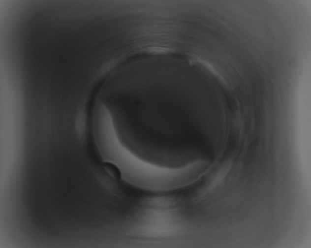 X0000101400303200807071224