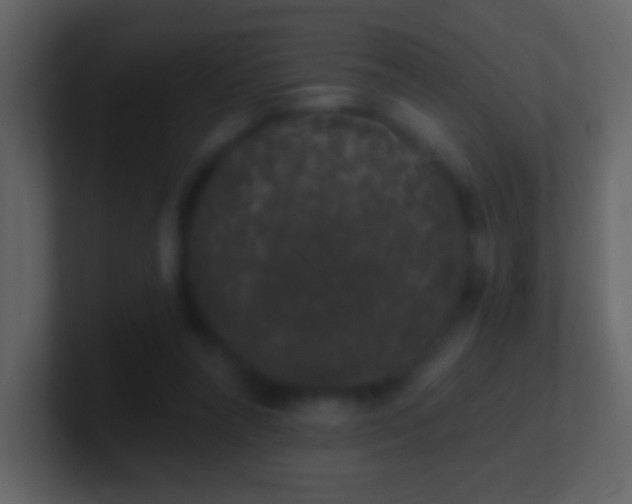 X0000101400304200807071224