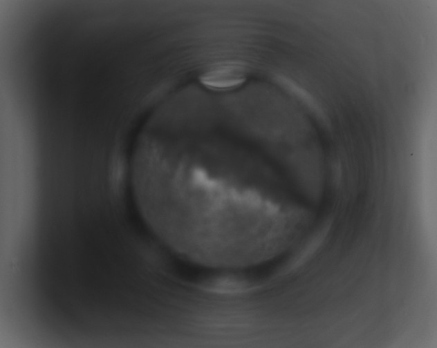 X0000101400308200807071224