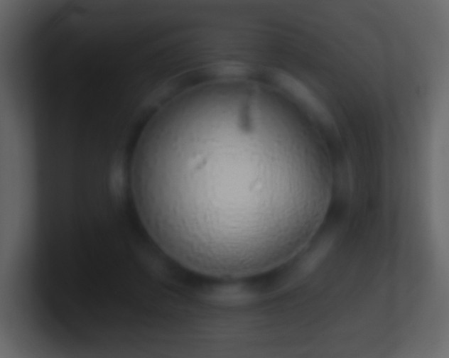 X0000101400309200807071224