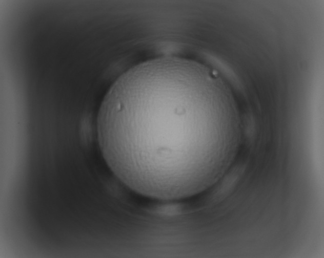 X0000101400313200807071224