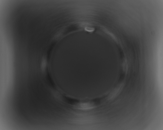 X0000101400314200807071224