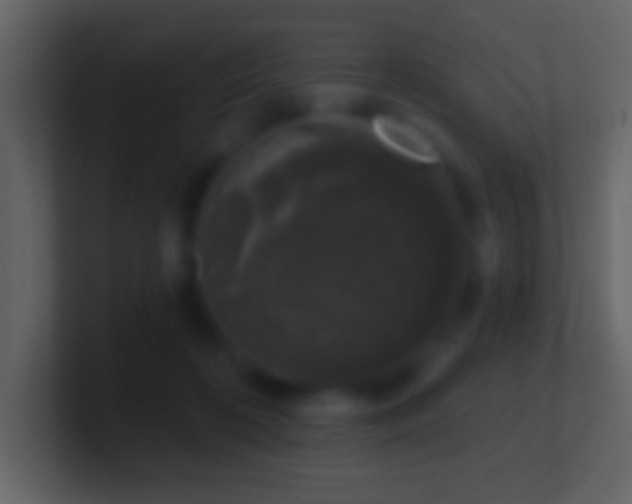 X0000101400316200807071224