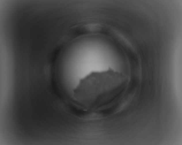 X0000101400319200807071224