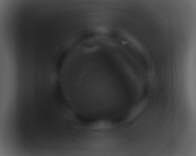 X0000101400320200807071224