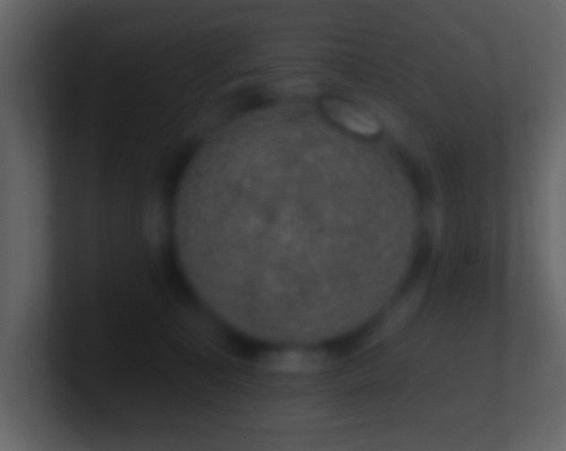 X0000101400323200807071224