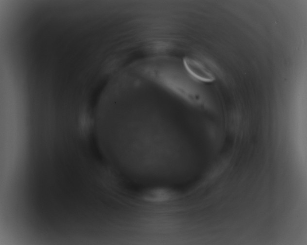 X0000101400324200807071224