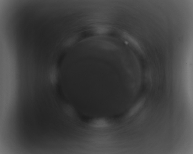 X0000101400325200807071224