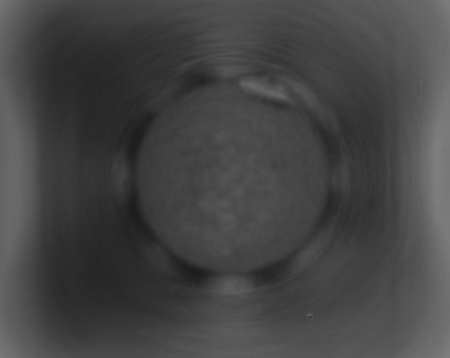 X0000101400327200807071224