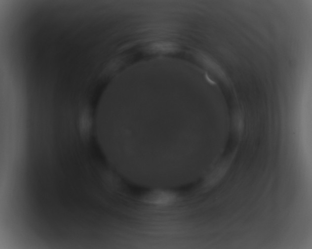 X0000101400328200807071224