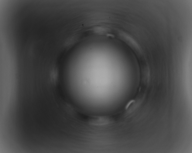 X0000101400329200807071224