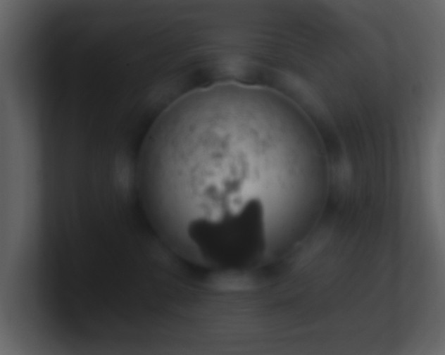 X0000101400331200807071224