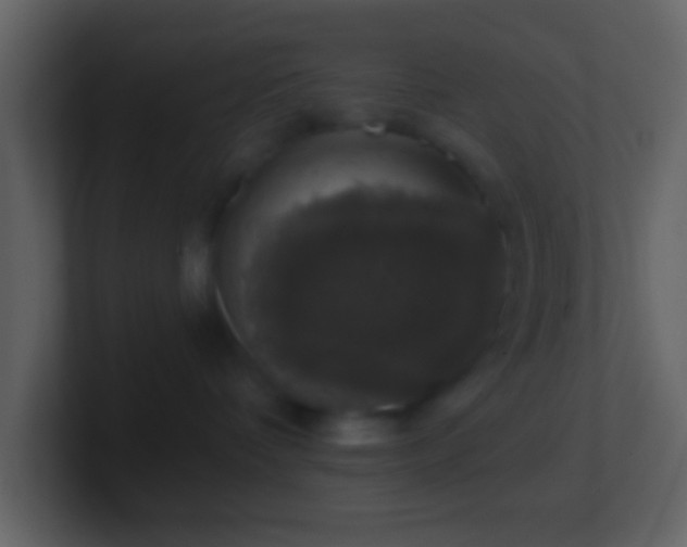 X0000101400336200807071224