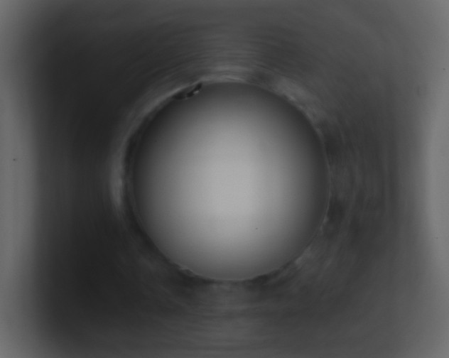 X0000101400338200807071223