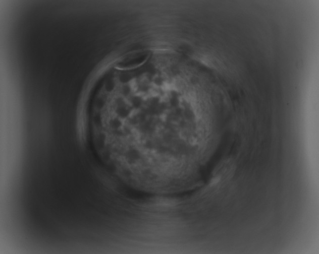 X0000101400343200807071223