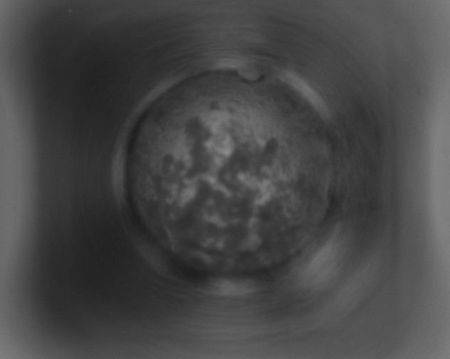 X0000101400346200807071223