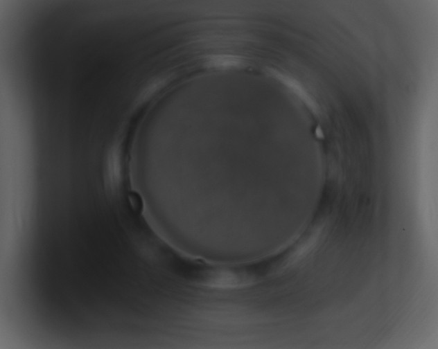 X0000101400347200807071223