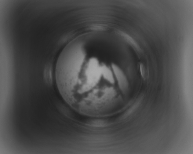 X0000101400349200807071223