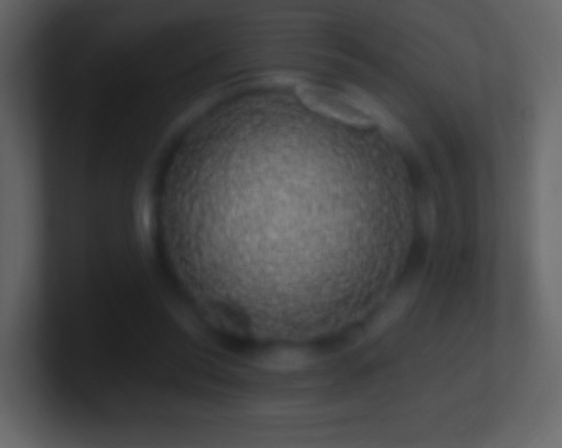 X0000101400350200807071223