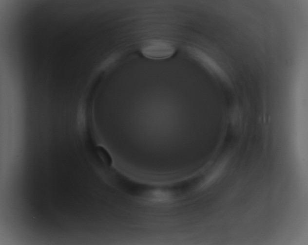 X0000101400352200807071223