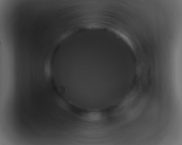 X0000101400353200807071223