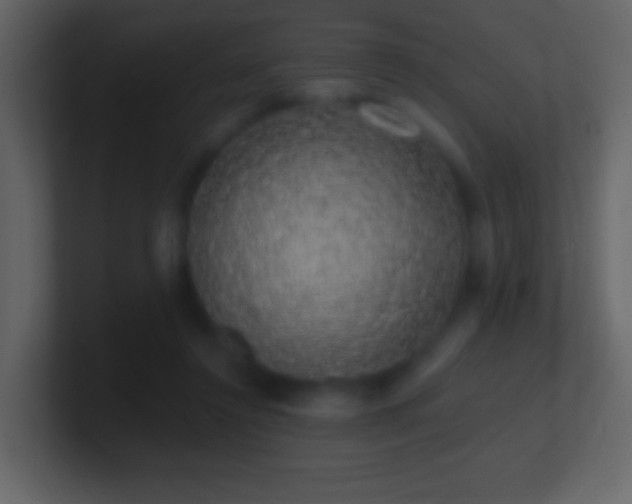 X0000101400356200807071223