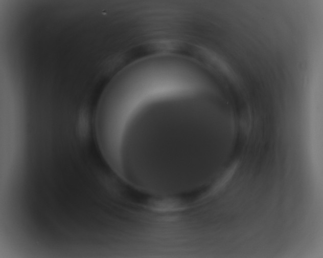 X0000101400359200807071223