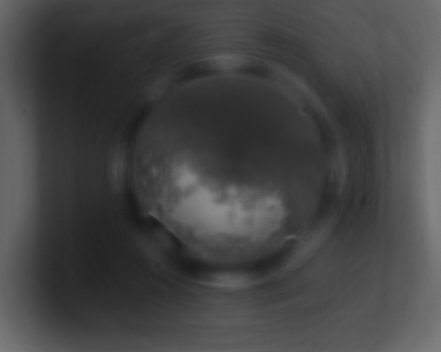 X0000101400360200807071223