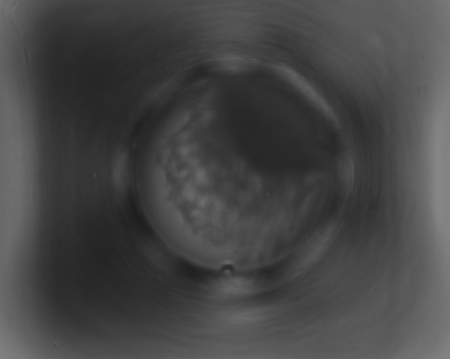 X0000101400361200807071223