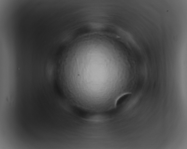 X0000101400364200807071223