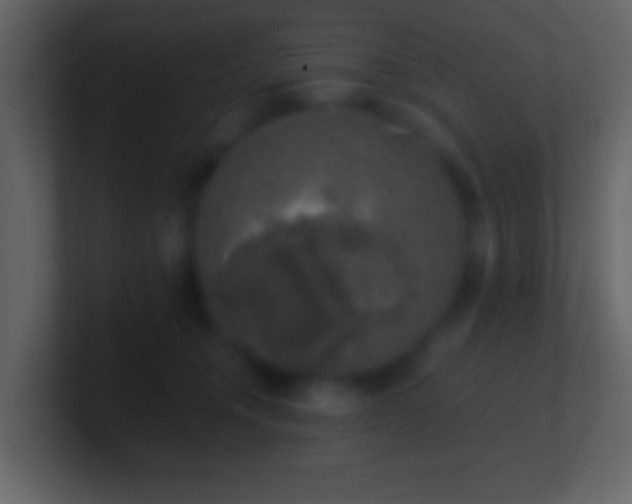 X0000101400372200807071223