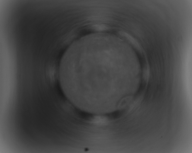 X0000101400376200807071224