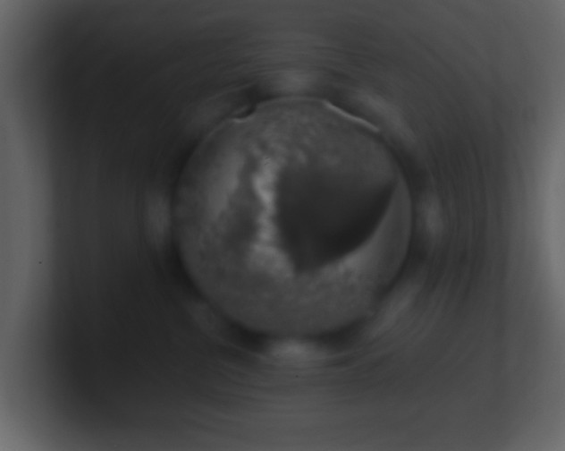 X0000101400380200807071224