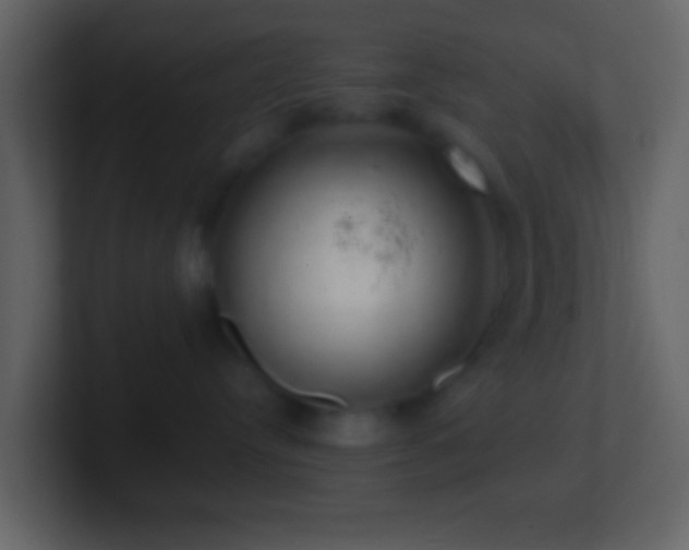 X0000101400384200807071224