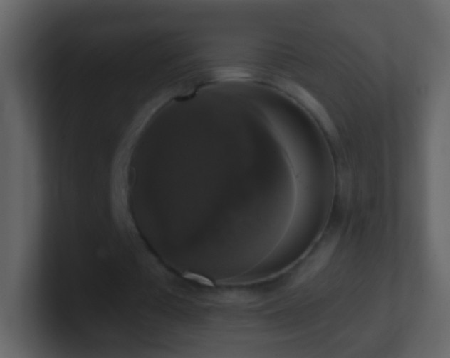 X0000101400385200807071223