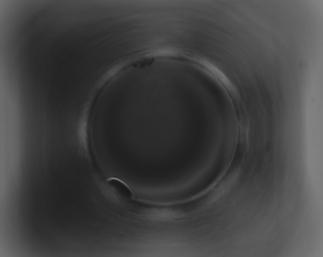 X0000101400389200807071223