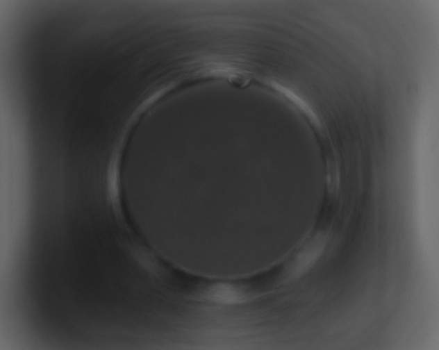 X0000101400390200807071223