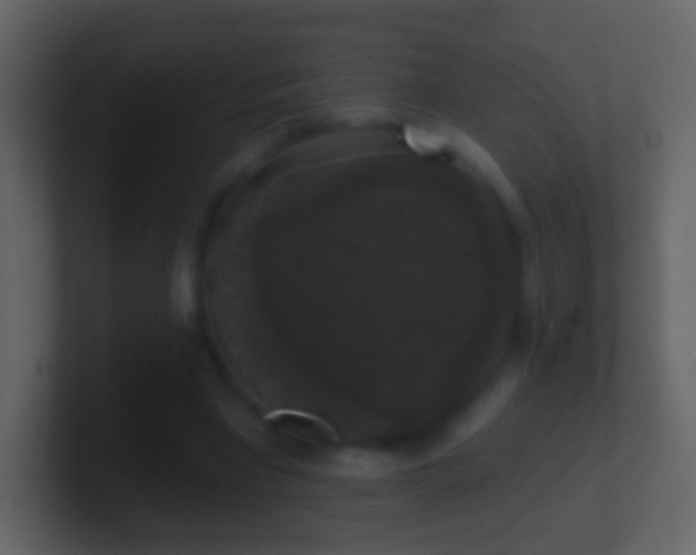 X0000101400393200807071223