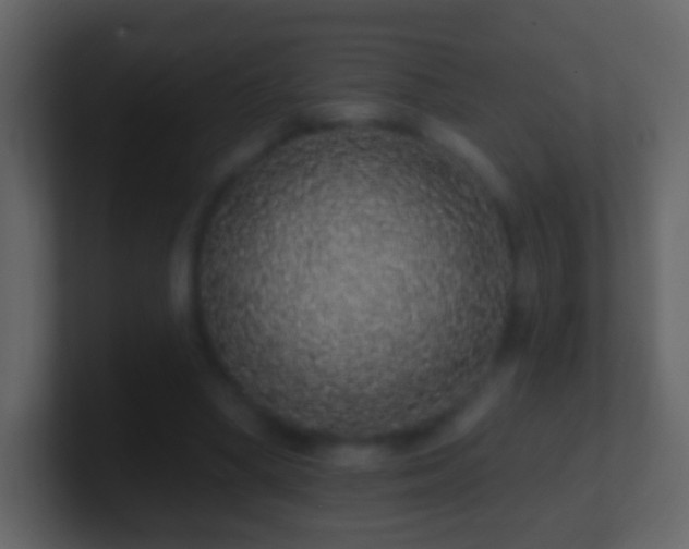 X0000101400394200807071223