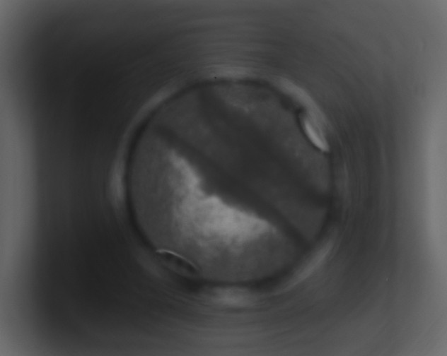 X0000101400395200807071223