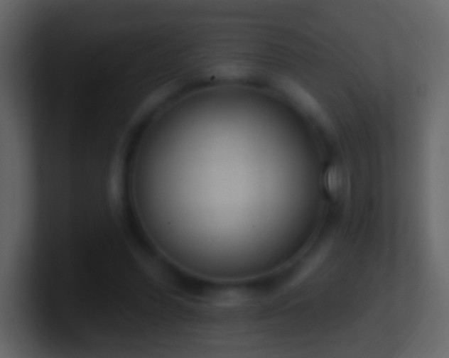 X0000101400396200807071223