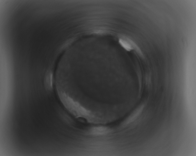 X0000101400397200807071223