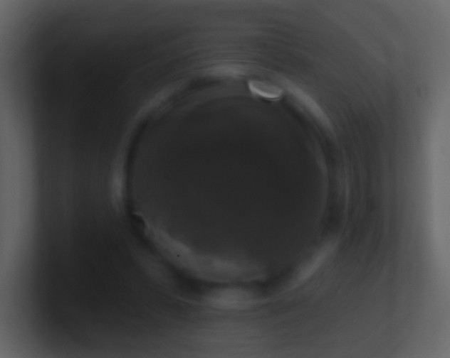 X0000101400399200807071223