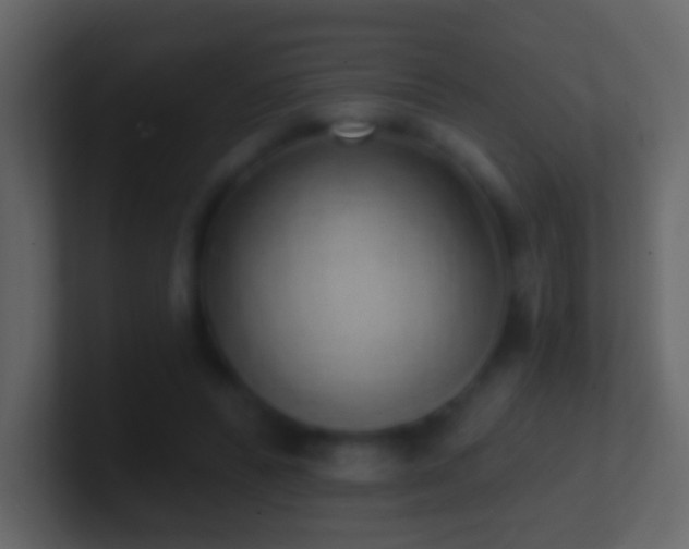 X0000101400400200807071223