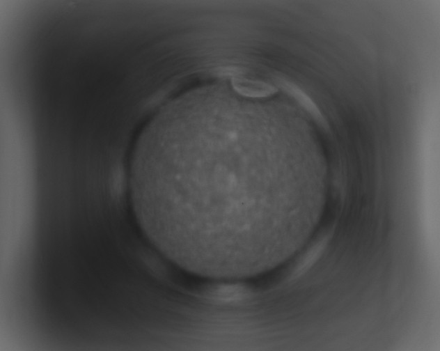 X0000101400401200807071223