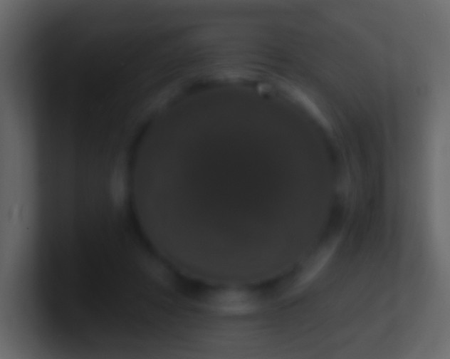 X0000101400402200807071223